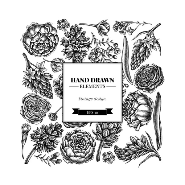 Umbellatumストックベクター ロイヤリティフリーumbellatumイラスト Depositphotos