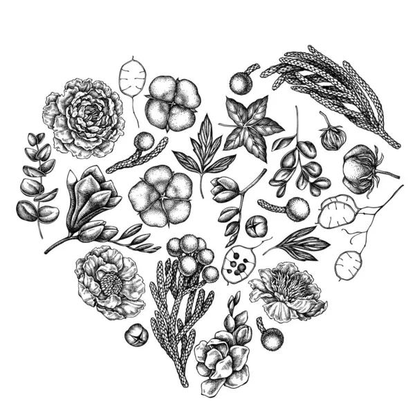 검고 흰 피쿠스 , 유우 칼리 나무, 조랑말, 면화 , 프리 시아 , 브리 유니아 가 있는 심장 꽃무늬 — 스톡 벡터