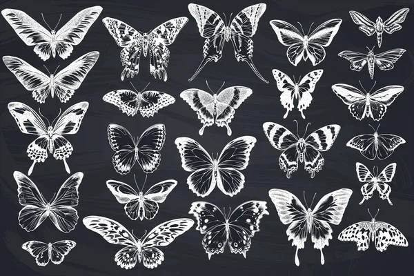 Conjunto vectorial de tiza dibujada a mano gran punta naranja, cola de golondrina esmeralda, reinas de la selva, tigre liso, rajah brooke s birdwing, papilio torquatus, swallowtail butterfly — Vector de stock