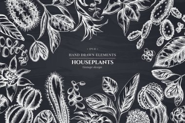 Tebeşir, iresine, kalanchoe, calathea, guzmania, kaktüs içeren çiçek tasarımı