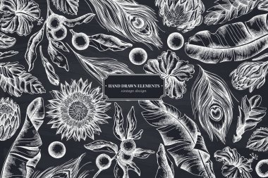 Tebeşir muz palmiyesi yaprakları, amber çiçeği, solanum, bromeliad, tavus kuşu tüyleri, protea