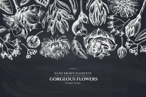 Kwiatowy wzór z kredą viburnum, hypericum, tulipan, aster, leucadendron, amaryllis — Wektor stockowy