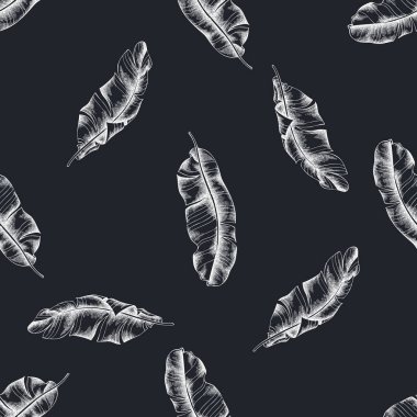 Elle çizilmiş tebeşirsiz muz palmiyesi yaprakları.