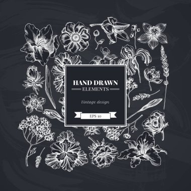 Tebeşir şakayığı, lavanta, bitmeyen biberiye, falaenopsis, zambak, iris