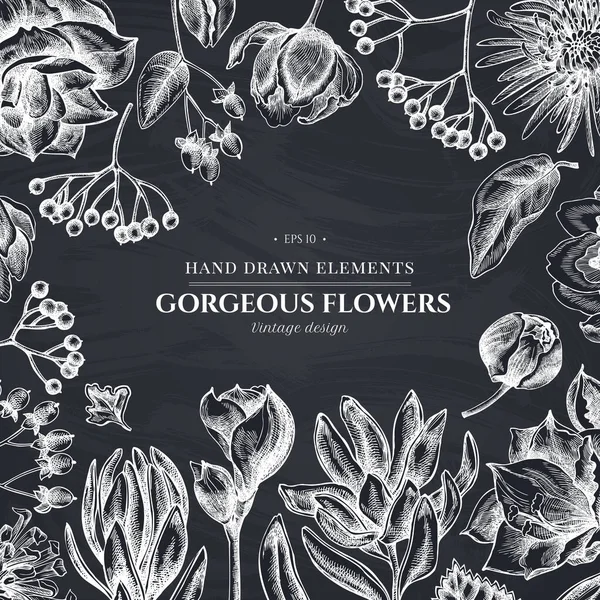 Virágos design kréta viburnum, hypericum, tulipán, aster, leucadendron, amaryllis — Stock Vector