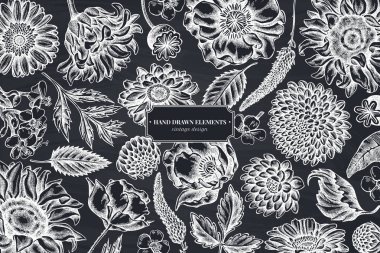 Tebeşir gelincik çiçeği, gerbera, ayçiçeği, süt otu, yıldız çiçeği, Veronica