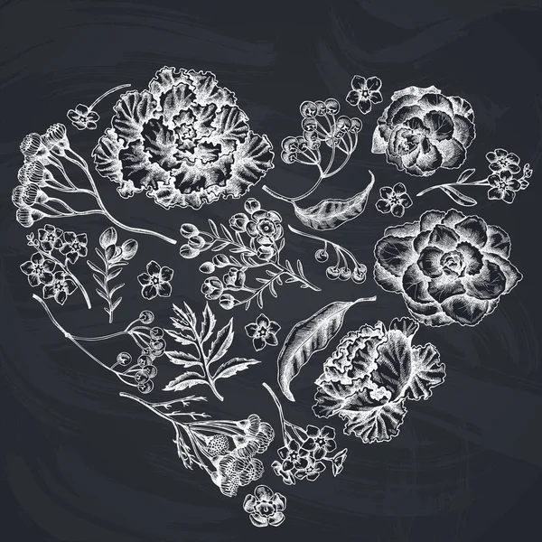 Design floral coração com flor de cera de giz, esqueça-me não flor, tansy, ardisia, brassica, repolho decorativo — Vetor de Stock