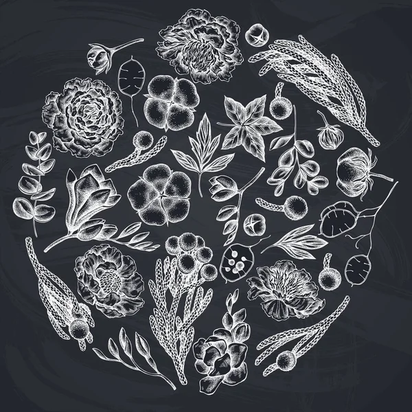 Design floral redondo com giz ficus, eucalipto, peônia, algodão, freesia, morena —  Vetores de Stock