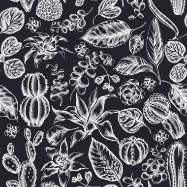 Elle çizilmiş tebeşir, iresine, kalanchoe, calathea, guzmania, kaktüs...