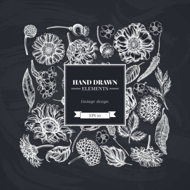 Tebeşir gelincik çiçeği, gerbera, ayçiçeği, süt otu, yıldız çiçeği, Veronica