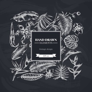 Tebeşir canavarı, muz palmiyesi yaprakları, strelitzia, helikonya, tropikal palmiye yaprakları ve orkide içeren kare çiçek tasarımı.