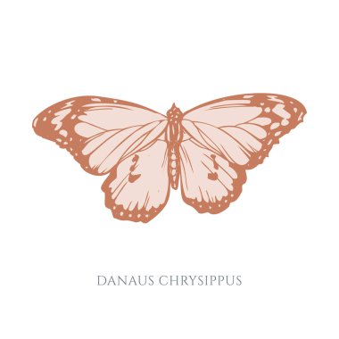 El yapımı pastel kaplan çizimi.