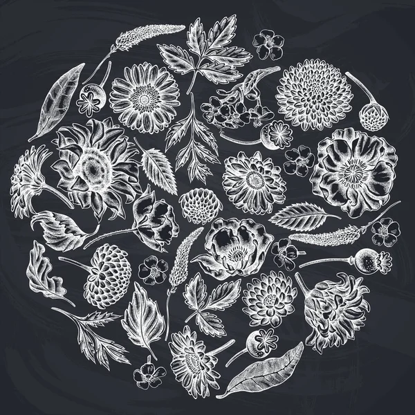 Diseño floral redondo con flor de amapola de tiza, gerbera, girasol, algodoncillo, dalia, verónica — Vector de stock