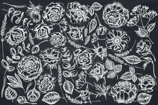 Векторный набор ручной работы меловые розы, анемон, эвкалипт, лаванда, пион, вибурнум — стоковый вектор