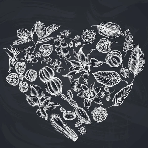 Квітковий дизайн серця з крейдяним фікусом, ірезином, каланхое, калатеєю, гуматією, кактусом — стоковий вектор