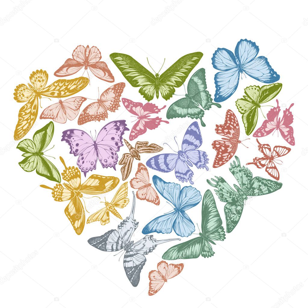 Heart design with pastel octauius swordtail, great orange-tip, emerald swallowtail, plain tiger, rajah brooke s birdwing, papilio torquatus, swallowtail butterfly