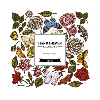 Renkli limon kelebeği, kırmızı dantel kanat, Afrika devi kırlangıç, alcides agathyrsus, Wallace 'ın altın kuş kanadı, mor benekli kırlangıç kuyruğu, orman anası, büyük inci.