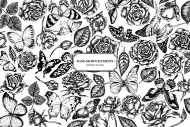 Siyah ve beyaz menelaus mavi morpho, dev kılıç kuyruğu, mavi morpho, limon kelebeği, kırmızı dantel, Afrika devi kırlangıç, alcides agathyrsus, wallace 's golden bird, mor