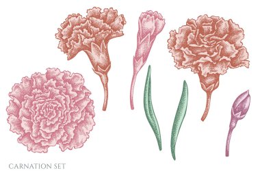 El yapımı pastel karanfiller.