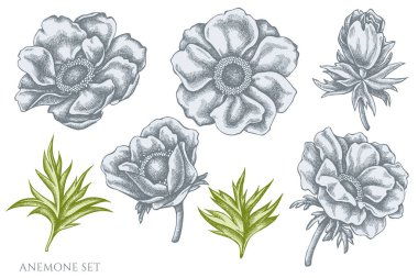 El yapımı pastel şakayık seti