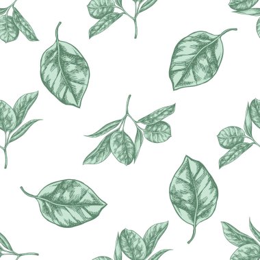 Kusursuz desenli, elle çizilmiş pastel incir.