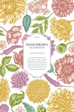 Pastel gelincik çiçeği, gerbera, ayçiçeği, süt otu, yıldız çiçeği, Veronica