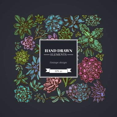 Kare çiçek deseni koyu arkaplanda sulu echeveria, sulu echeveria, sulent