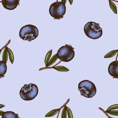 Elle çizilmiş yaban mersinli pürüzsüz desen