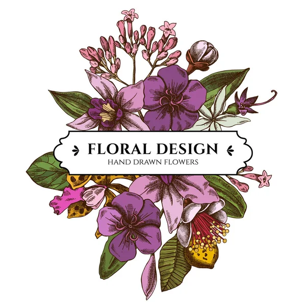 Design de buquê floral com laelia colorida, flores feijoa, arbusto de glória, papilio torquatus, cinchona, cattleya aclandiae — Vetor de Stock