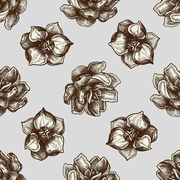 Modèle sans couture avec des fleurs magnolia colorées dessinées à la main — Image vectorielle