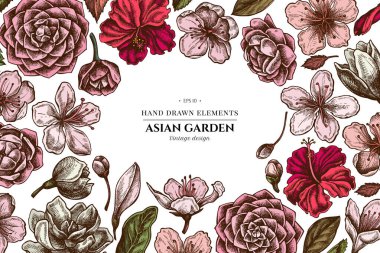 Renkli amberçiçeği, erik çiçekleri, şeftali çiçekleri, sakura çiçekleri, manolya çiçekleri, kamelya japonica
