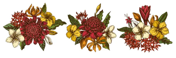 Квітковий букет з різнокольорових слив, алеманда, клермодендрум, чака, елінгера, ікора — стоковий вектор