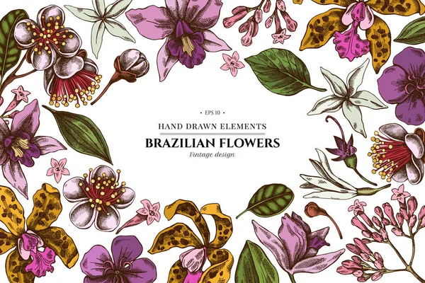 Floral design with colored laelia, feijoa flowers, glory bush, papilio torquatus, cinchona, cattleya aclandiae — Stock Vector