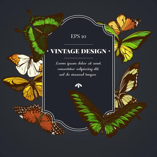 Design scuro distintivo con grande punta arancione, coda forcuta smeraldo, regine della giungla, tigre pianura, rajah brooke s birdwing, papilio torquatus, rondine farfalla — Vettoriale Stock