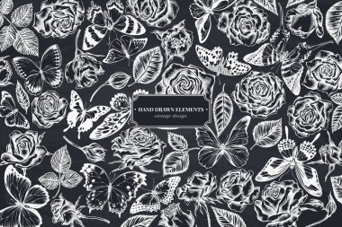 Tebeşir menelaus mavi morpho, dev kılıç kuyruğu, mavi morpho, limon kelebeği, kırmızı dantel, Afrika devi kırlangıç, alcides agathyrsus, wallace 's gold bird, mor benekli