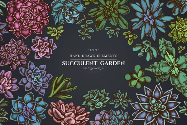 Diseño floral sobre fondo oscuro con equeveria suculenta, equeveria suculenta, suculenta — Archivo Imágenes Vectoriales