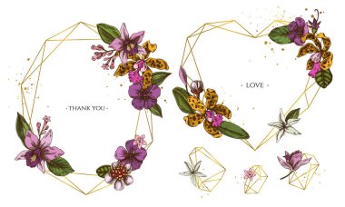 Altın çerçeveli laelia, feijoa çiçekleri, görkemli çalı, papilio torquatus, cinchona, cattleya aclandiae