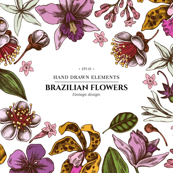 Virágos design színes laelia, feijoa virágok, dicsőség bokor, papilio torquatus, cinchona, cattleya aclandiae — Stock Vector