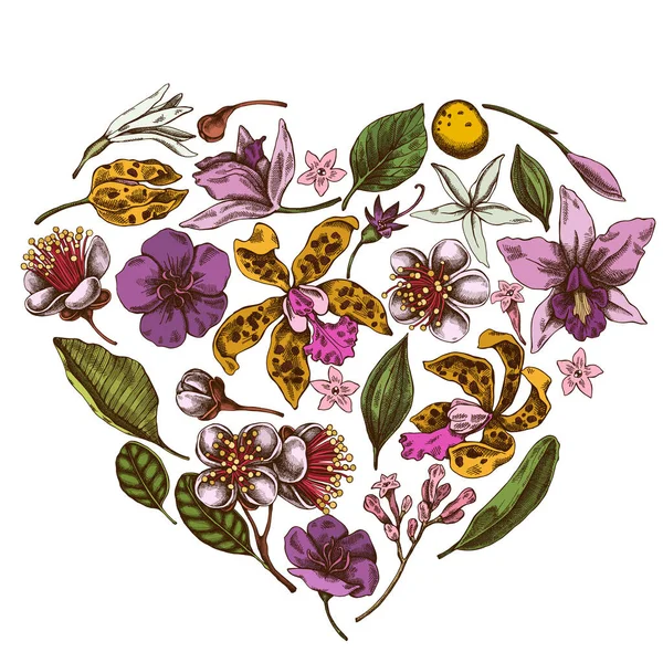 Design floral coração com laelia colorido, flores feijoa, arbusto glória, papilio torquatus, cinchona, cattleya aclandiae — Vetor de Stock