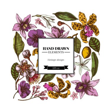 Renkli laelia, feijoa çiçekleri, görkemli çalılık, papilio torquatus, cinchona, cattleya aclandiae