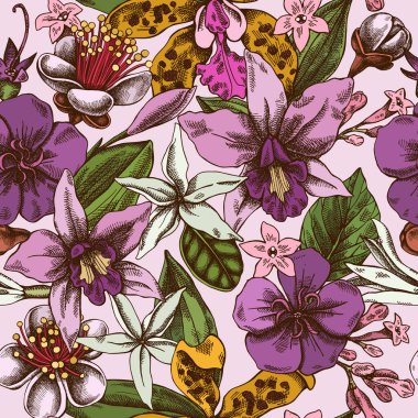 Elle çizilmiş kusursuz desen laelia, feijoa çiçekleri, görkemli çalı, papilio torquatus, cinchona, cattleya aclandiae