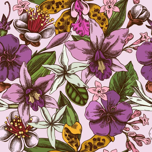 Seamless pattern with hand drawn colored laelia, feijoa flowers, glory bush, papilio torquatus, cinchona, cattleya aclandiae — Stock Vector