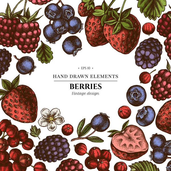 Färgade element design med jordgubbe, blåbär, röda vinbär, hallon, björnbär — Stock vektor