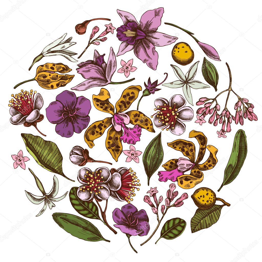 Round floral design with colored laelia, feijoa flowers, glory bush, papilio torquatus, cinchona, cattleya aclandiae