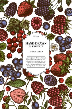 Renkli çilek, yabanmersini, kırmızı frenk üzümü, ahududu, böğürtlen