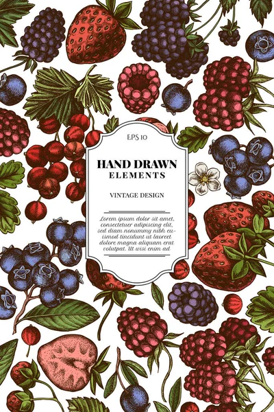 Renkli çilek, yabanmersini, kırmızı frenk üzümü, ahududu, böğürtlen