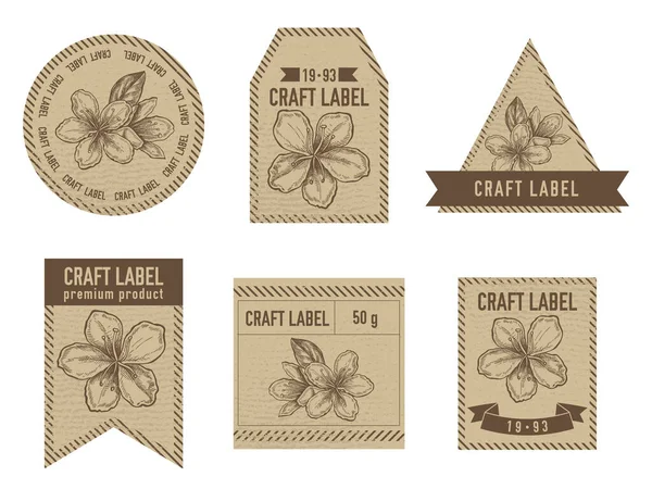 Etichette artigianali design vintage con illustrazione di fiori di prugna — Vettoriale Stock