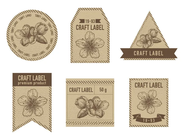 Etichette artigianali design vintage con illustrazione di fiori di pesca — Vettoriale Stock