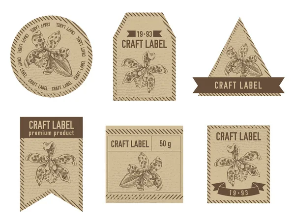 Řemeslné etikety vinobraní design s ilustrací cattleya aclandiae — Stockový vektor