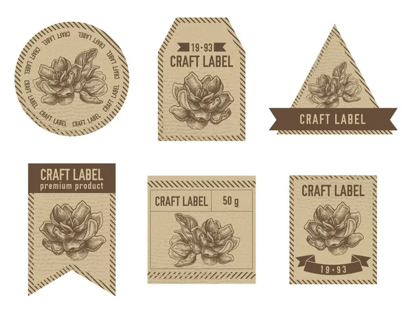 Kézműves címkék vintage design illusztrációjával magnólia virágok — Stock Vector
